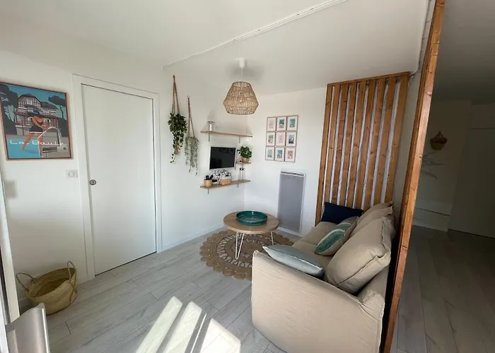 De Standing, Vue Sur Port De Plaisance